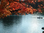 五色沼の水面gosiki marsh  the surface of the water16